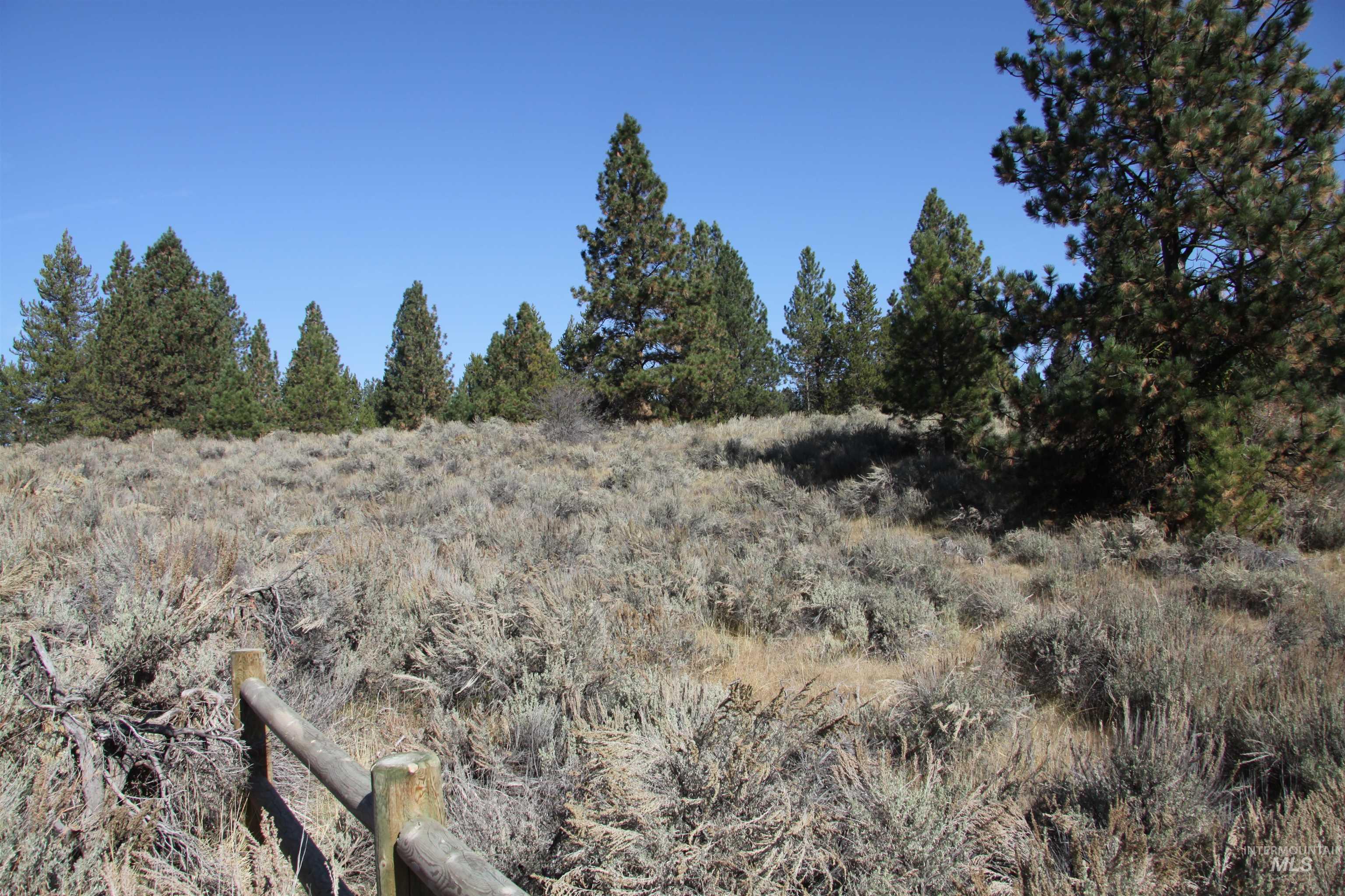 41 Vista Point Loop Property Photo 8