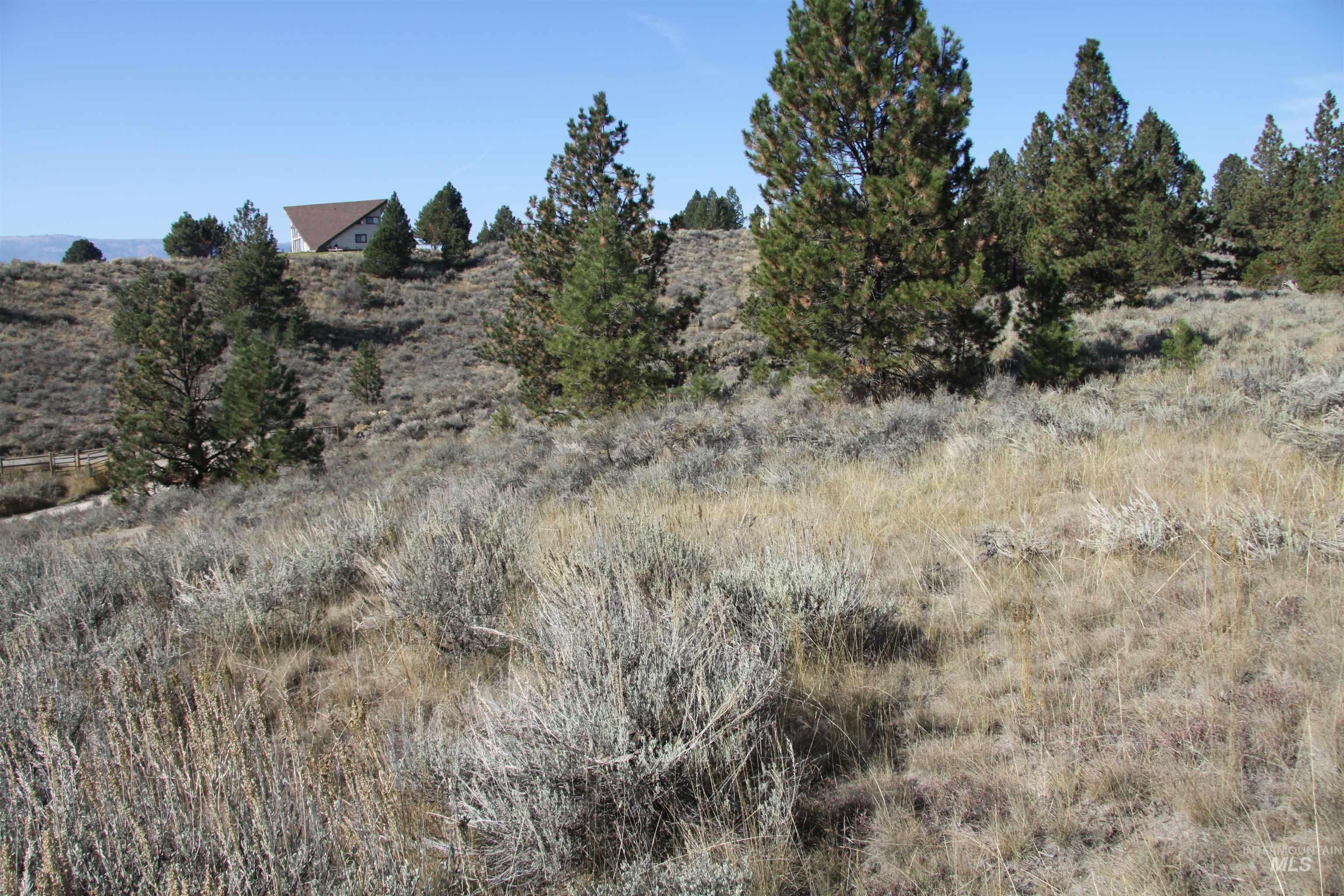41 Vista Point Loop Property Photo 9