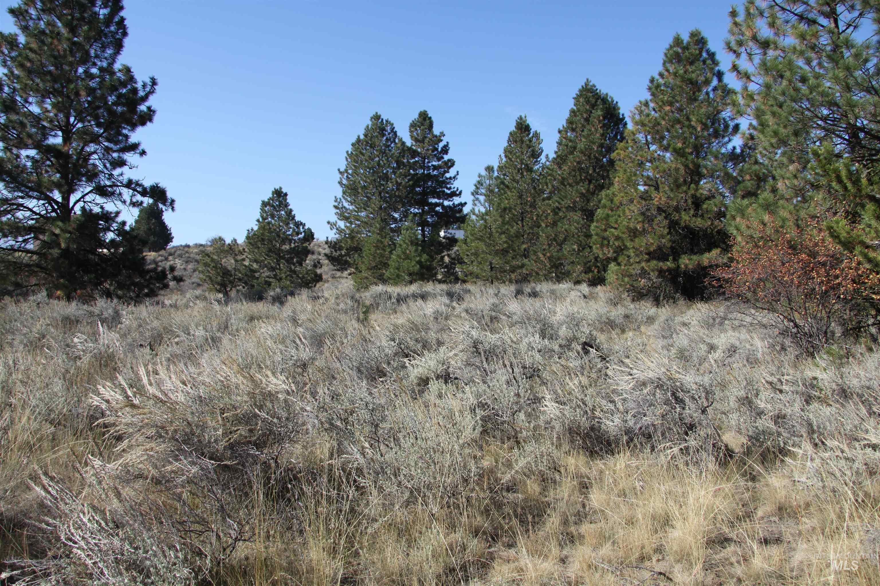 41 Vista Point Loop Property Photo 10