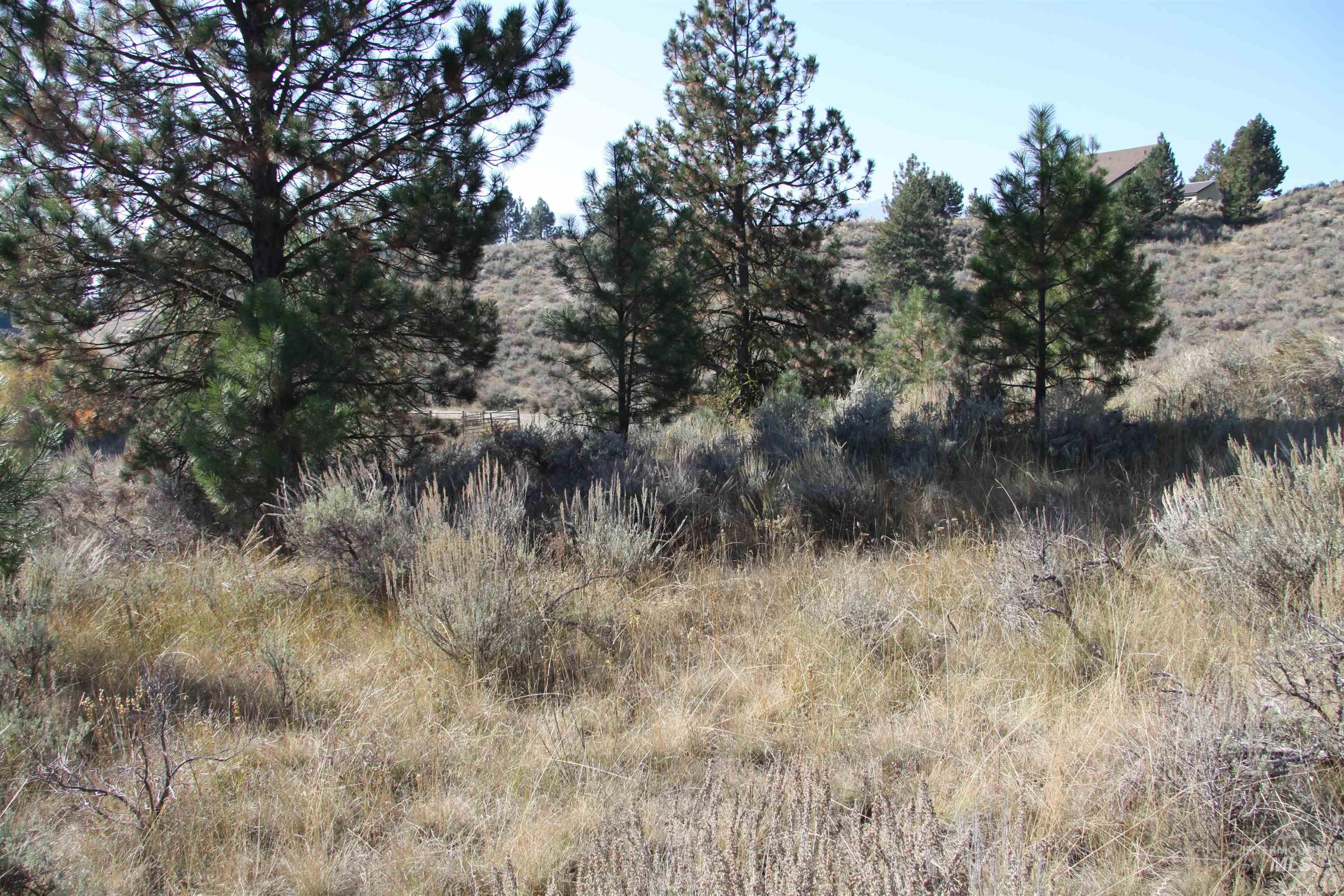 41 Vista Point Loop Property Photo 11