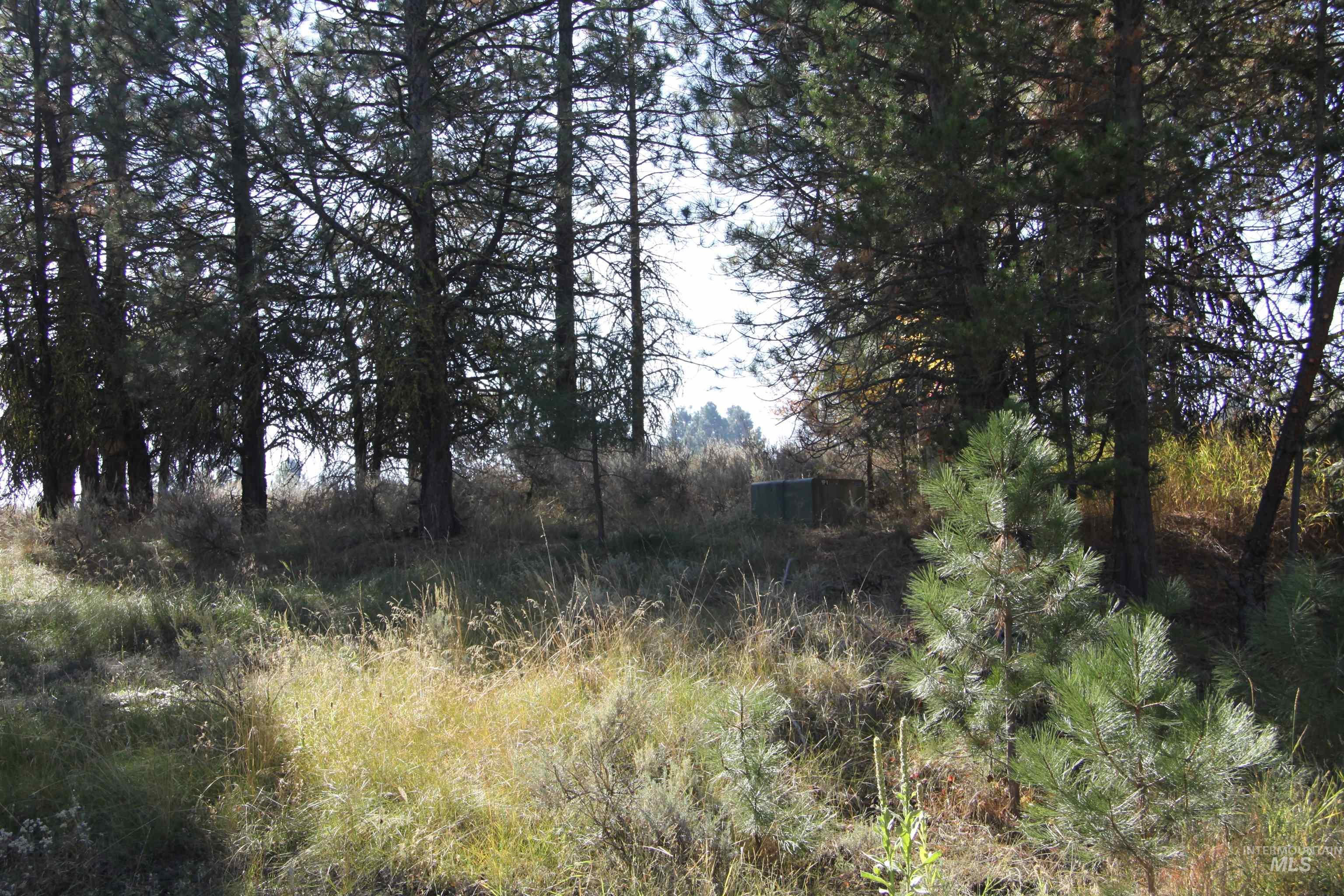 41 Vista Point Loop Property Photo 13