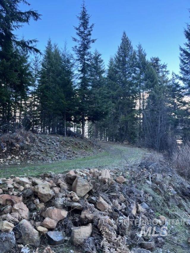 1139 Ove Creek Ln Property Photo 11