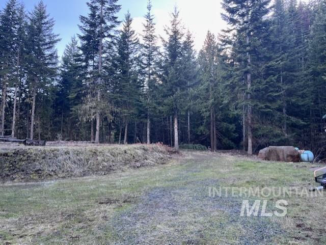 1139 Ove Creek Ln Property Photo 14