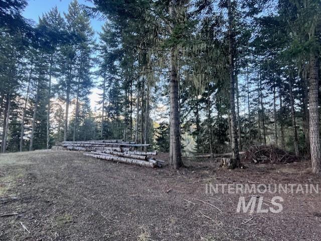 1139 Ove Creek Ln Property Photo 15