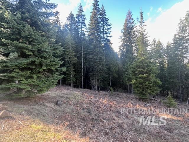 1139 Ove Creek Ln Property Photo 16