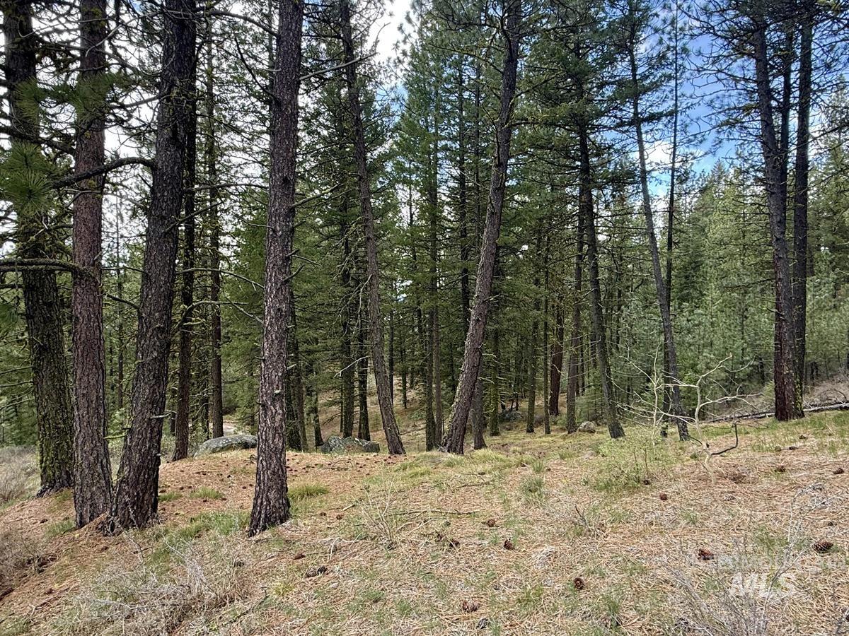 4 Chino Spur Property Photo 43