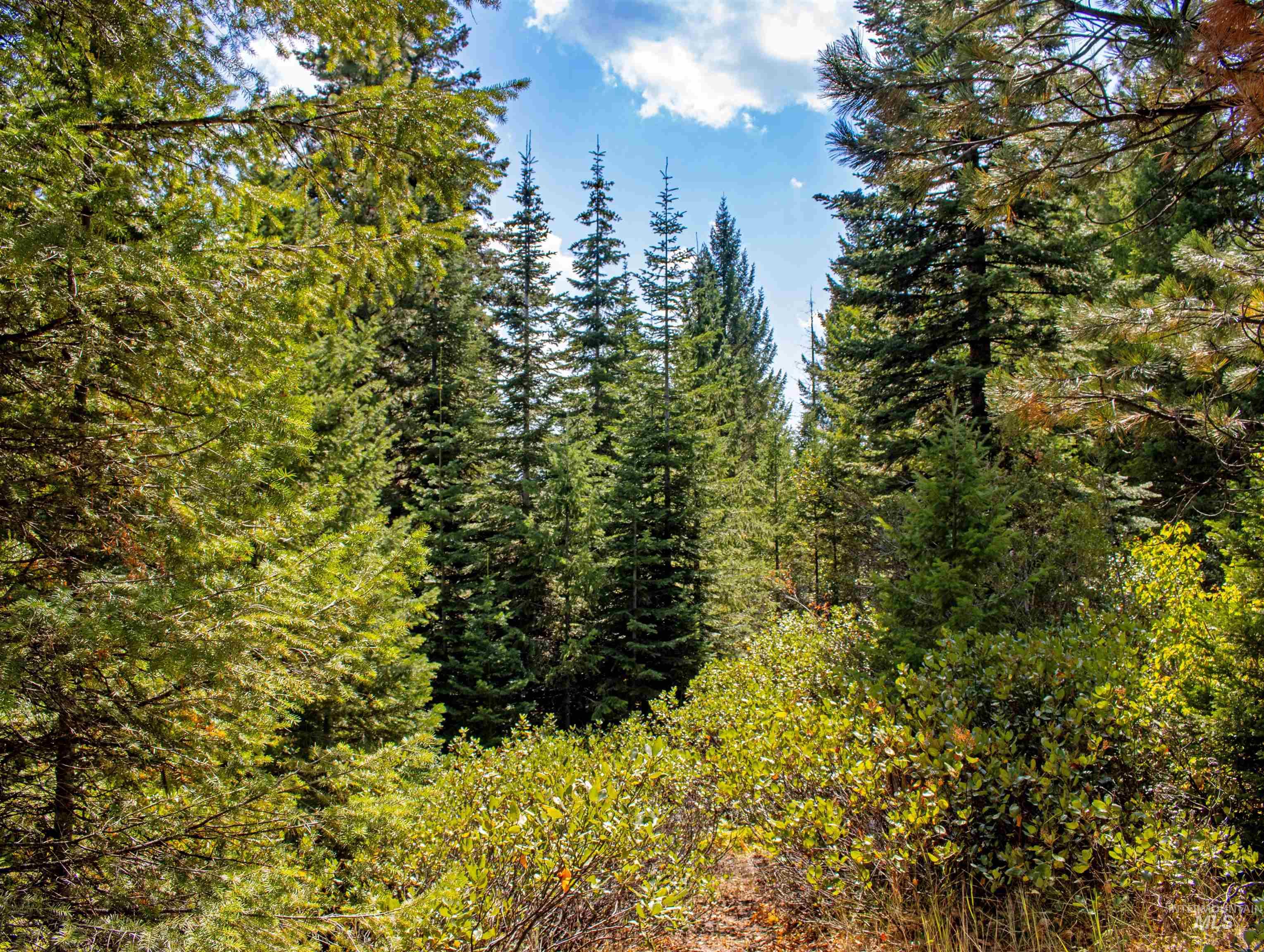 Tbd 1 High Valley Road Property Photo 13