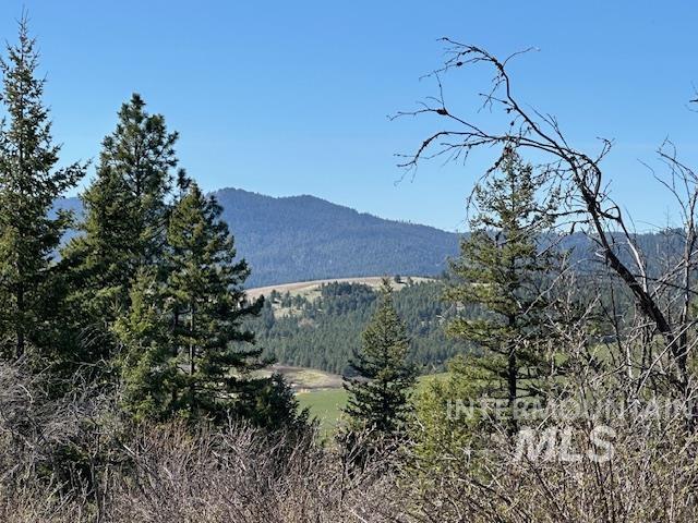 000 Spring Valley Rd. Property Photo 4