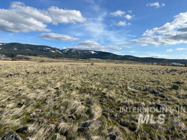 Tbd Whitetail Dr Property Photo 4