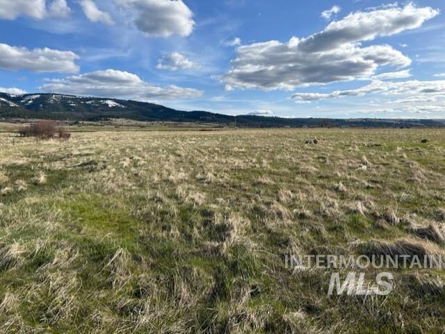 Tbd Whitetail Dr Property Photo 11