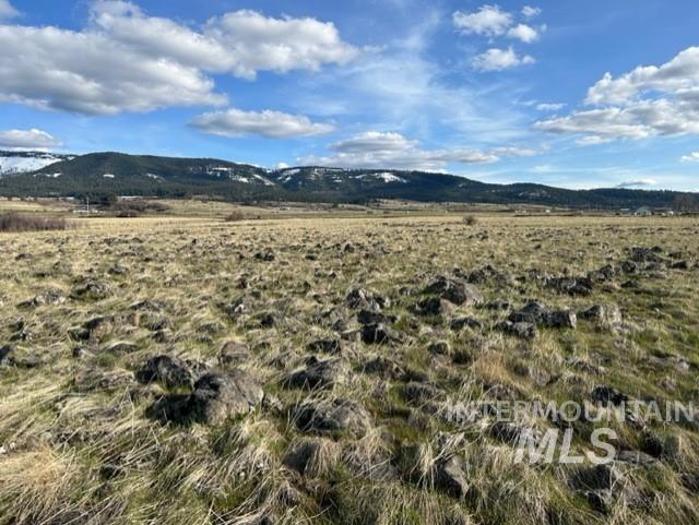 Tbd Whitetail Dr Property Photo 15