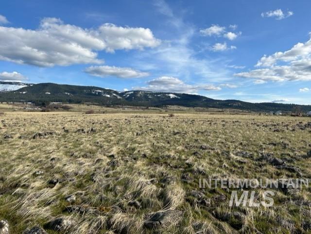 Tbd Whitetail Dr Property Photo 16