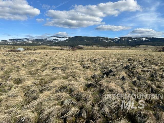 Tbd Whitetail Dr Property Photo 23