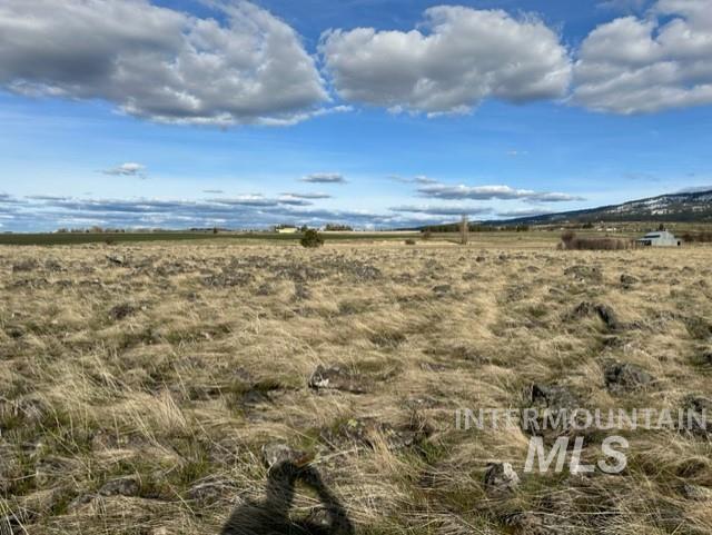 Tbd Whitetail Dr Property Photo 25