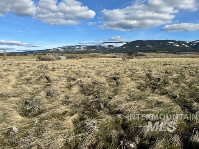 Tbd Whitetail Dr Property Photo 27