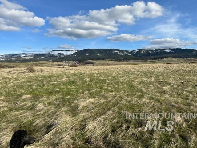 Tbd Whitetail Dr Property Photo 30