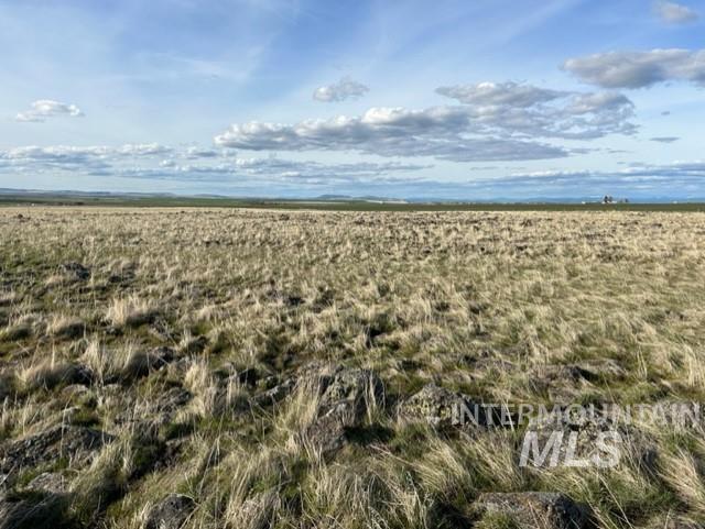 Tbd Whitetail Dr Property Photo 31