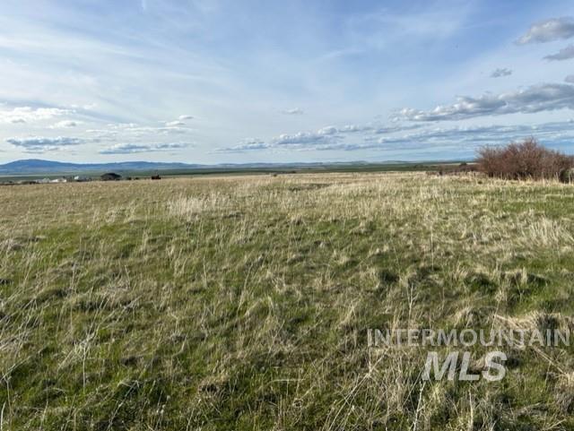 Tbd Whitetail Dr Property Photo 42