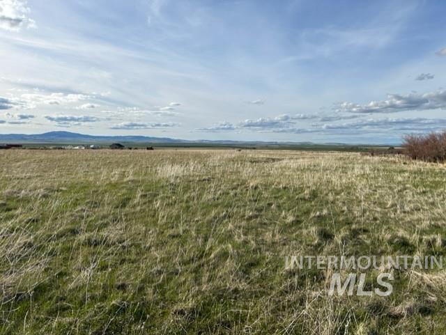 Tbd Whitetail Dr Property Photo 43
