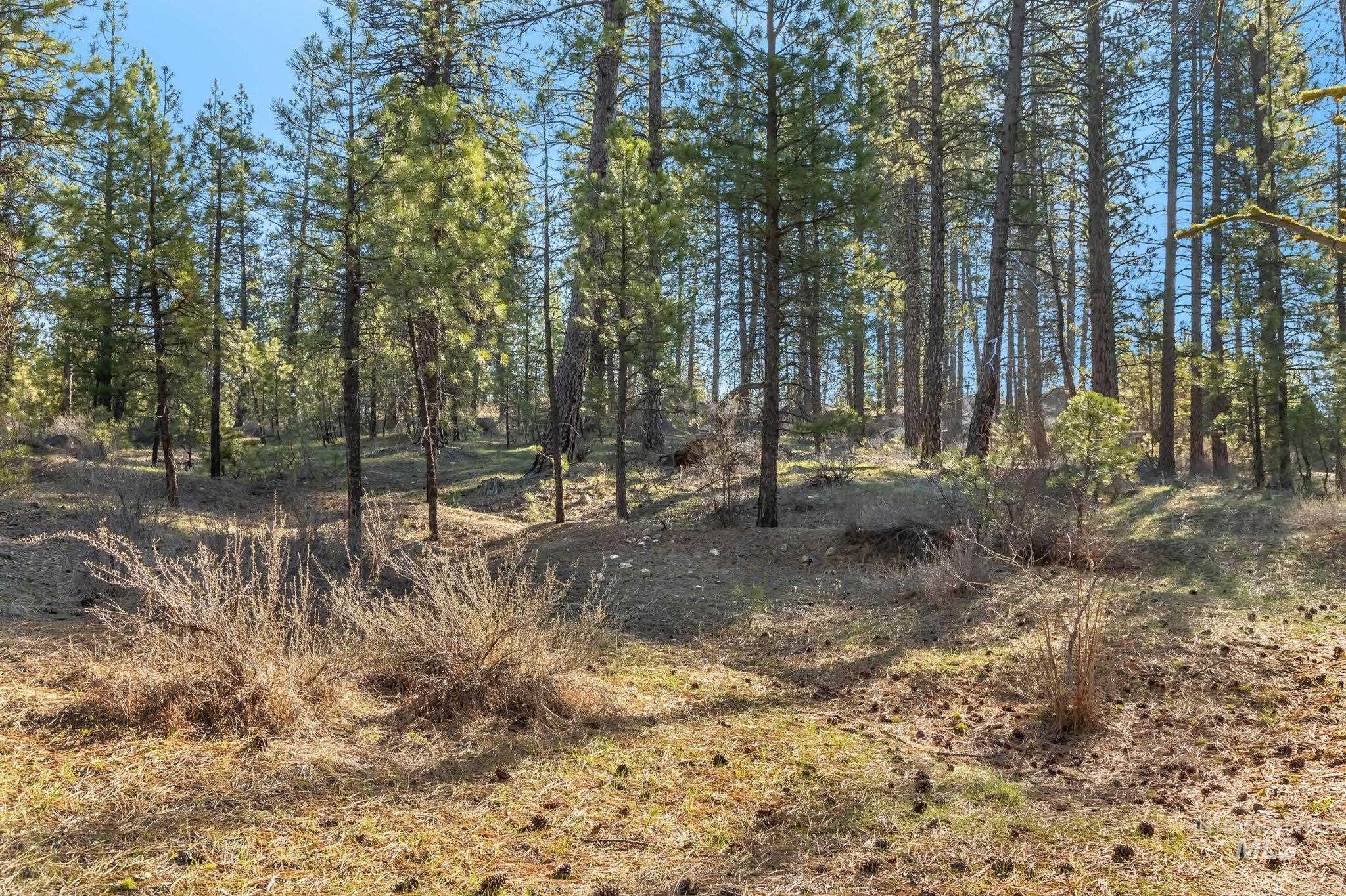 Tbd Id City Property Photo 5