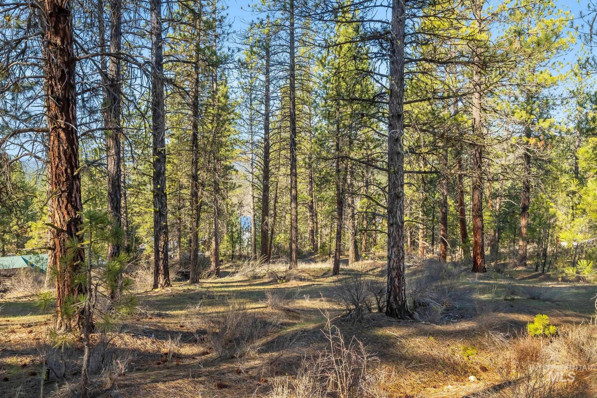 Tbd Id City Property Photo 6