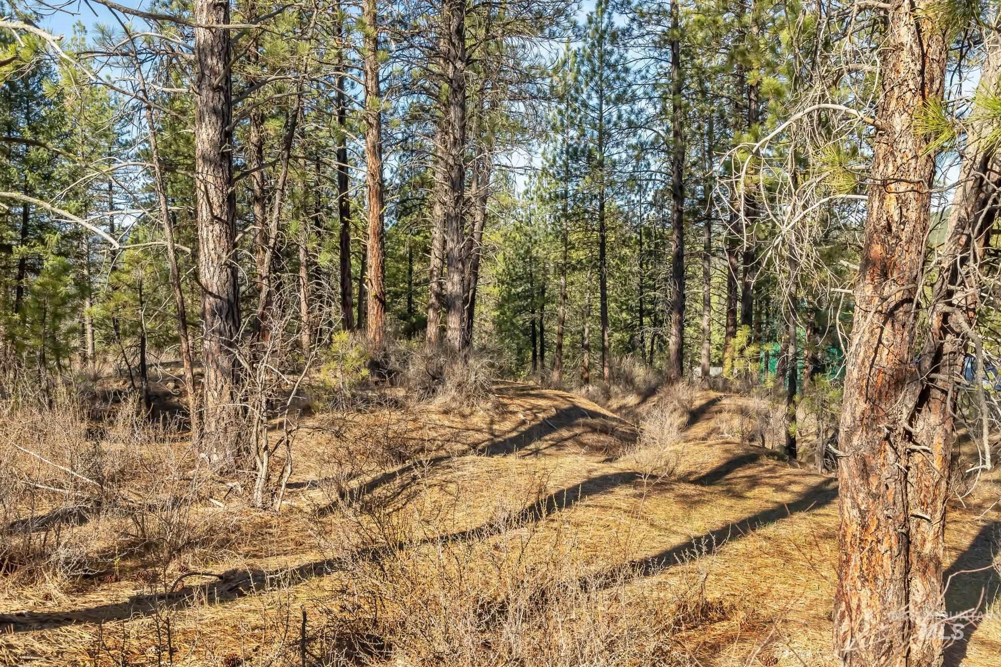 Tbd Id City Property Photo 7