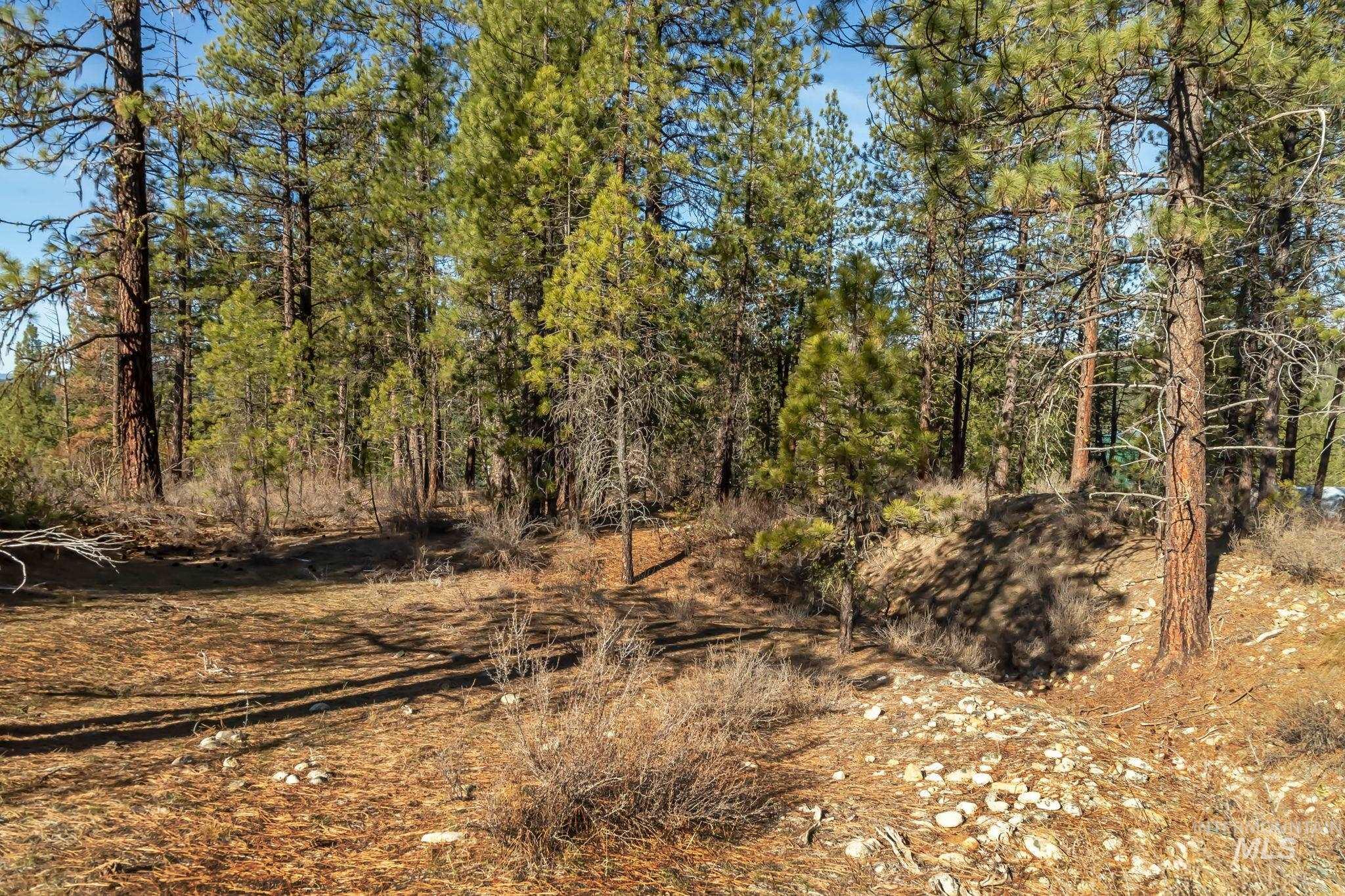 Tbd Id City Property Photo 8