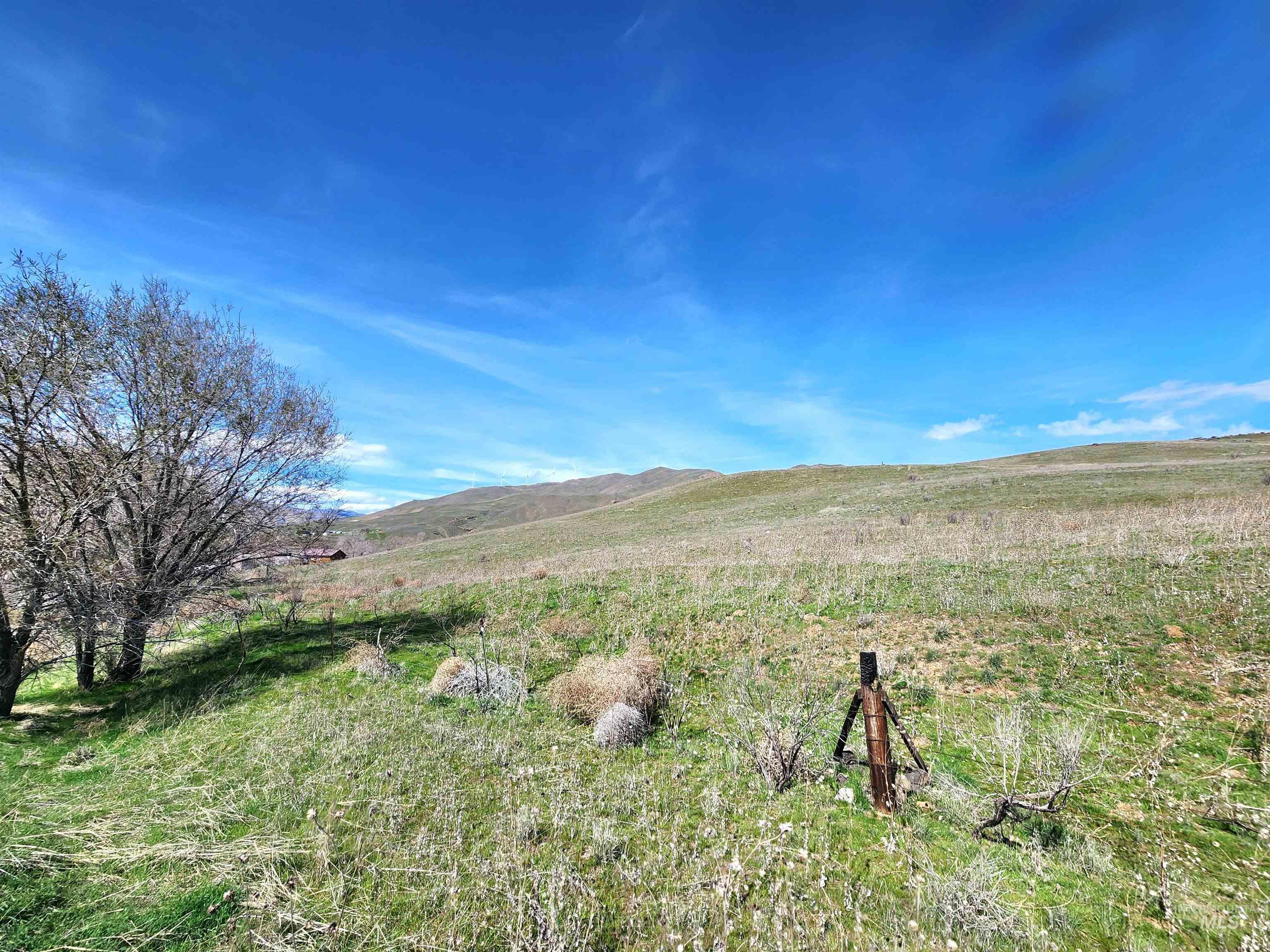Tbd Hwy 30, Tax Lot 100 Property Photo 4