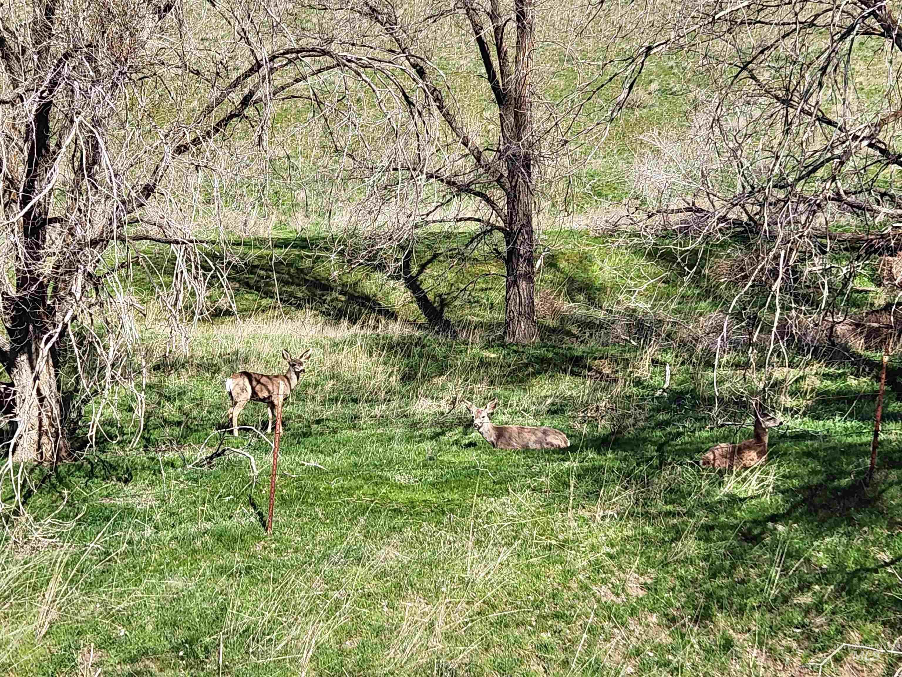 Tbd Hwy 30, Tax Lot 100 Property Photo 18