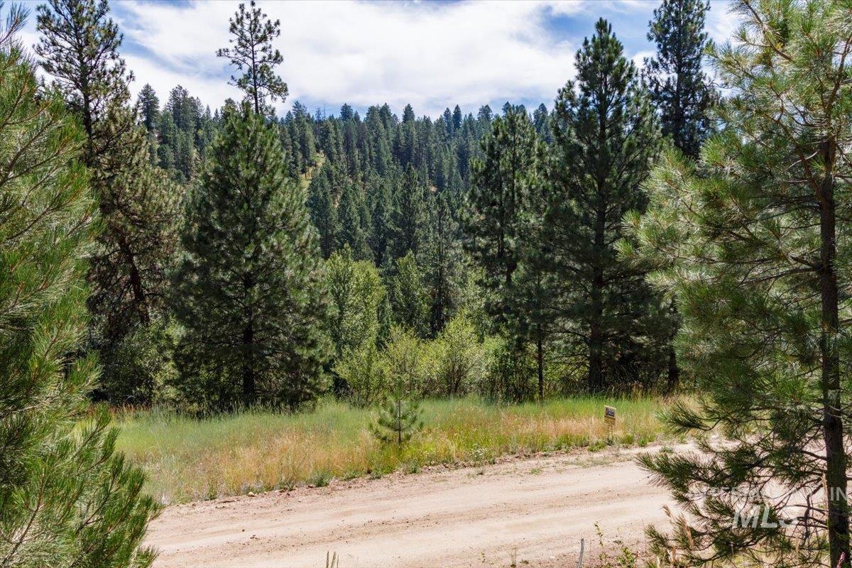 Lot 13 Blk 1 Creekside Ct Property Photo 3