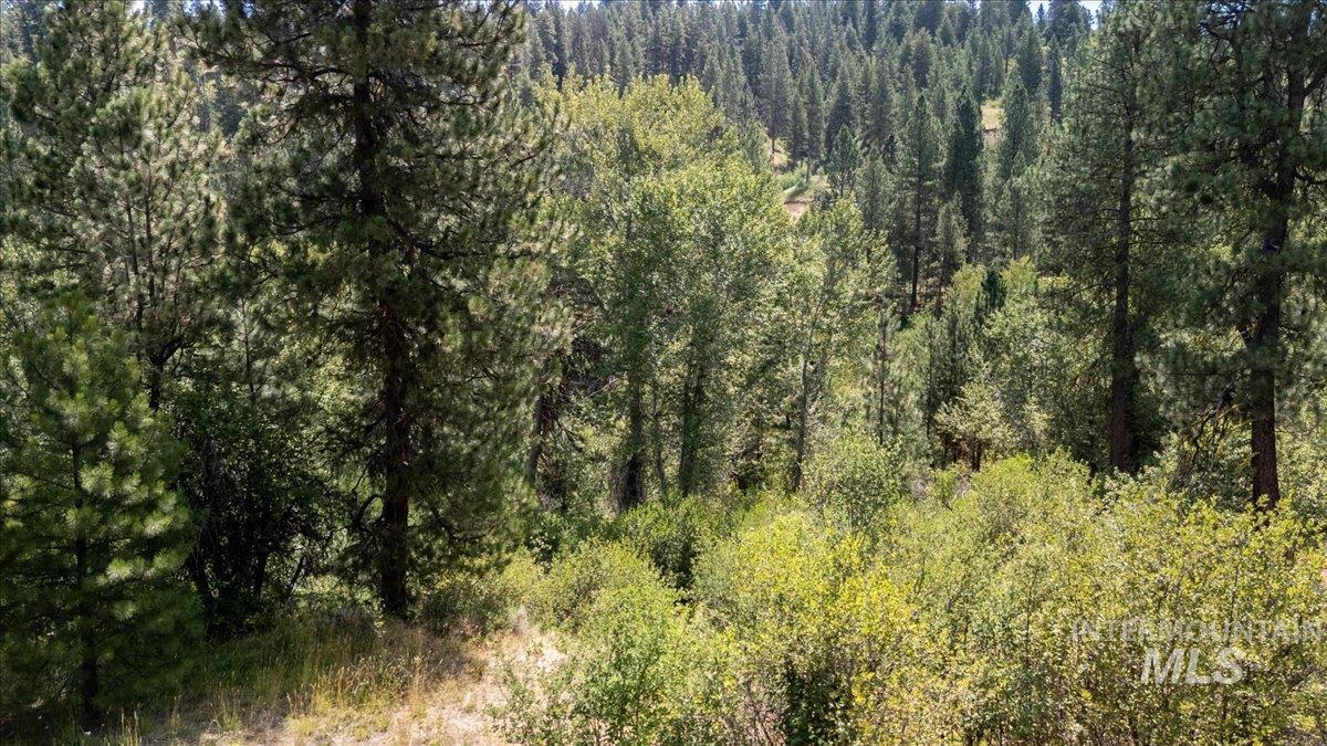 Lot 13 Blk 1 Creekside Ct Property Photo 25