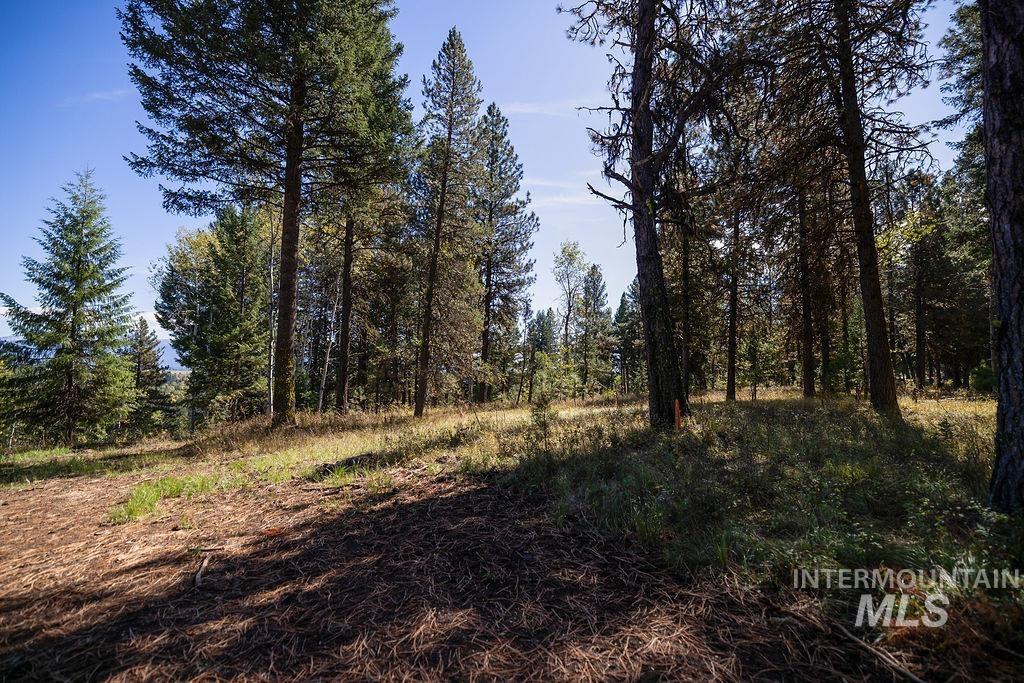 352 Blackhawk Lake Dr Property Photo 19