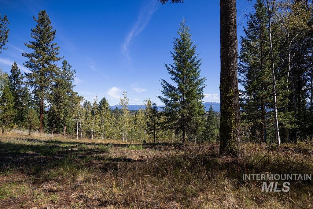 352 Blackhawk Lake Dr Property Photo 25