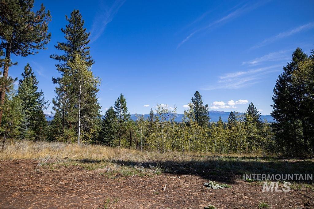 352 Blackhawk Lake Dr Property Photo 28