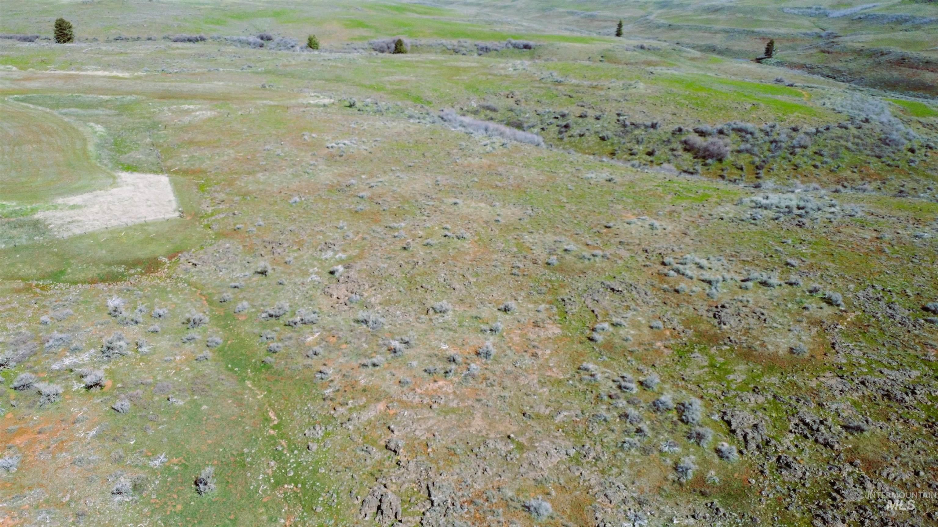 Tbd N. Fork Ridge Rd. Property Photo 13