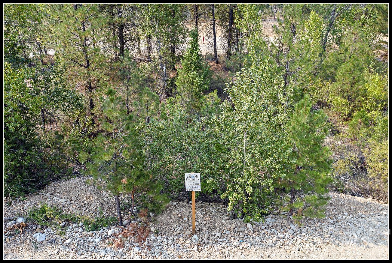 Lot 58 Mores Creek Dr Property Photo 1