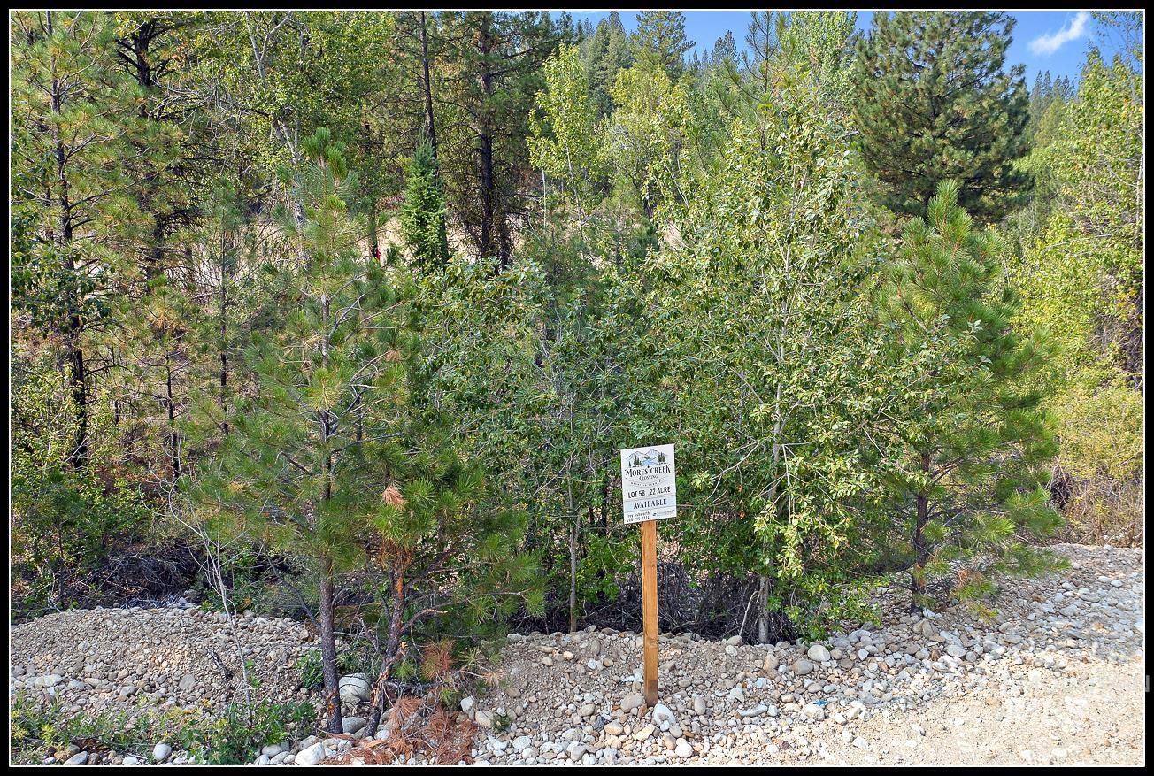Lot 58 Mores Creek Dr Property Photo 2