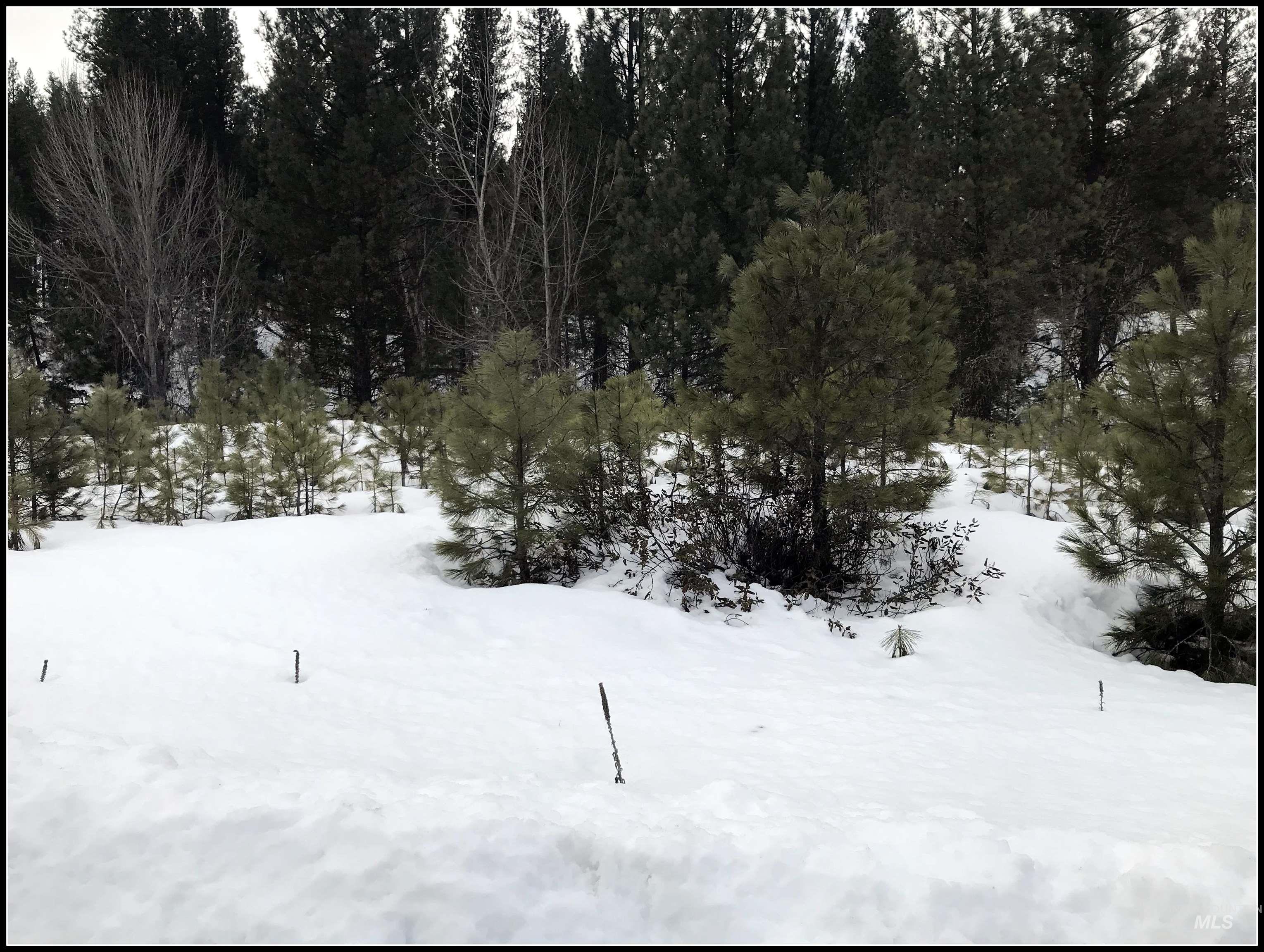 Lot 79 Lainey Lane Property Photo 11