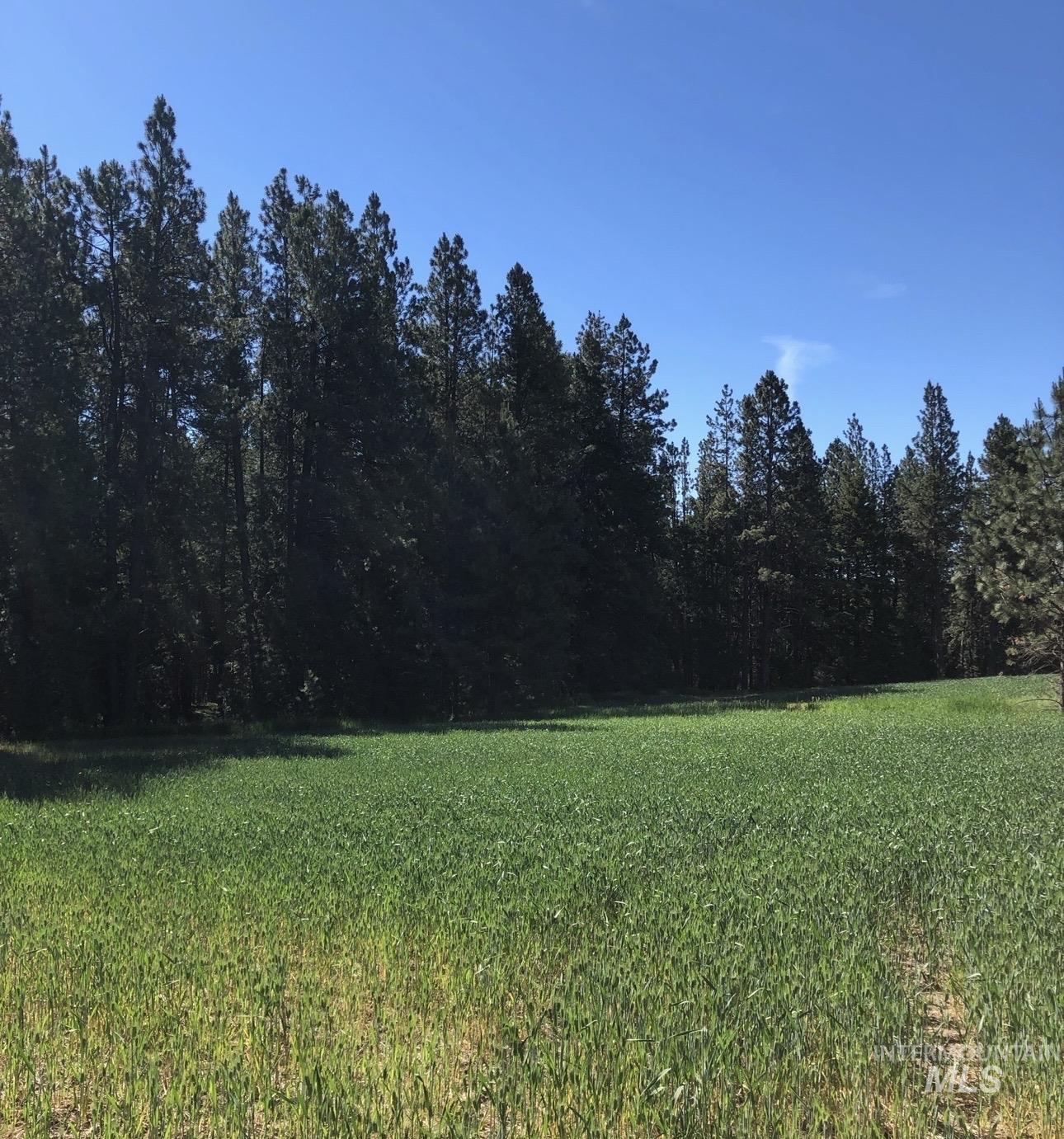 Tbd Sandhill Rd Property Photo 1