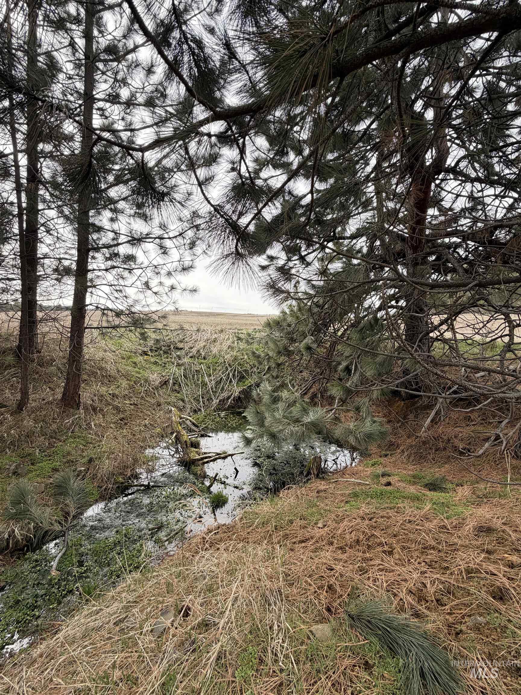 Tbd Sandhill Rd Property Photo 2
