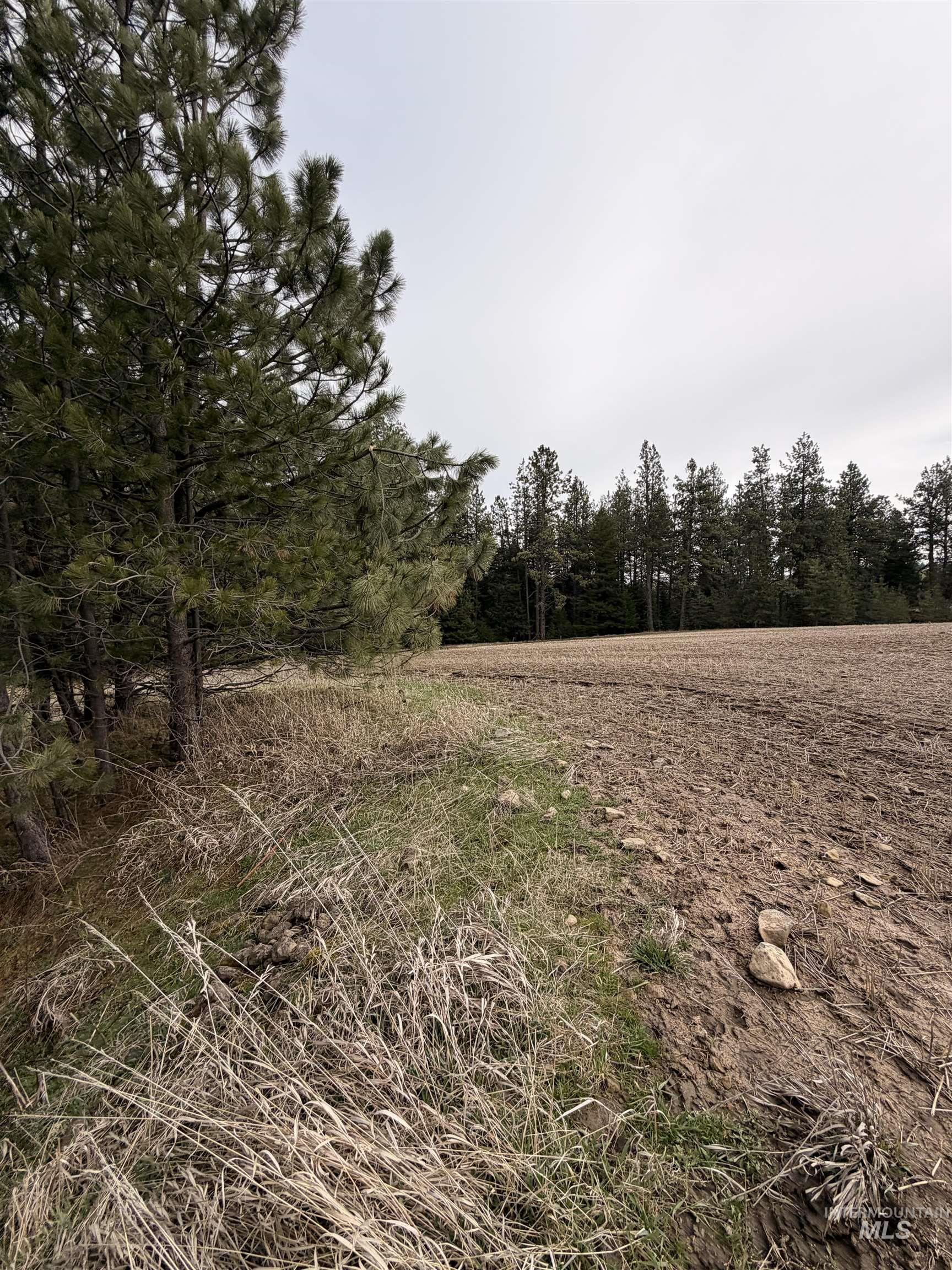Tbd Sandhill Rd Property Photo 5