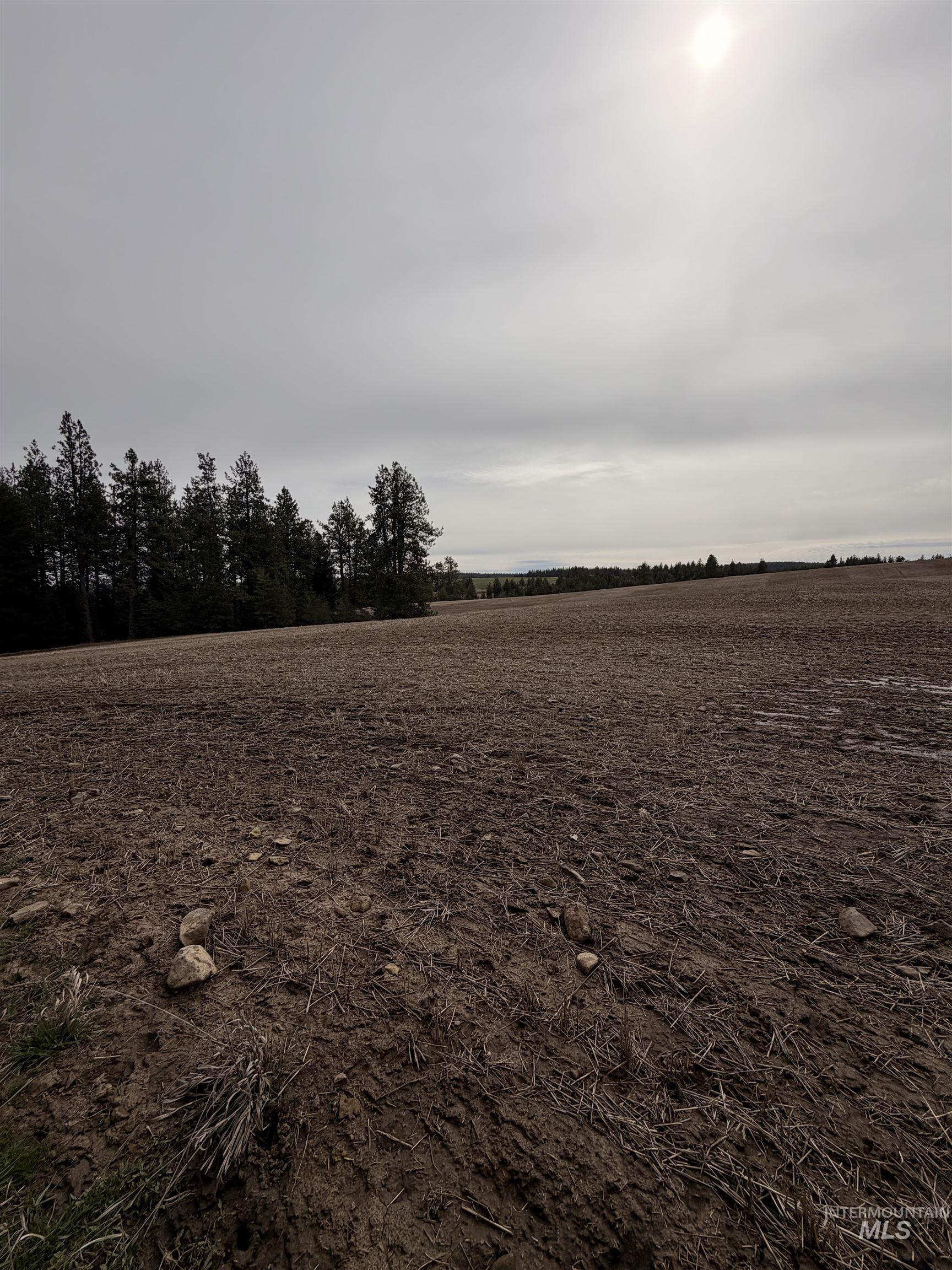 Tbd Sandhill Rd Property Photo 6