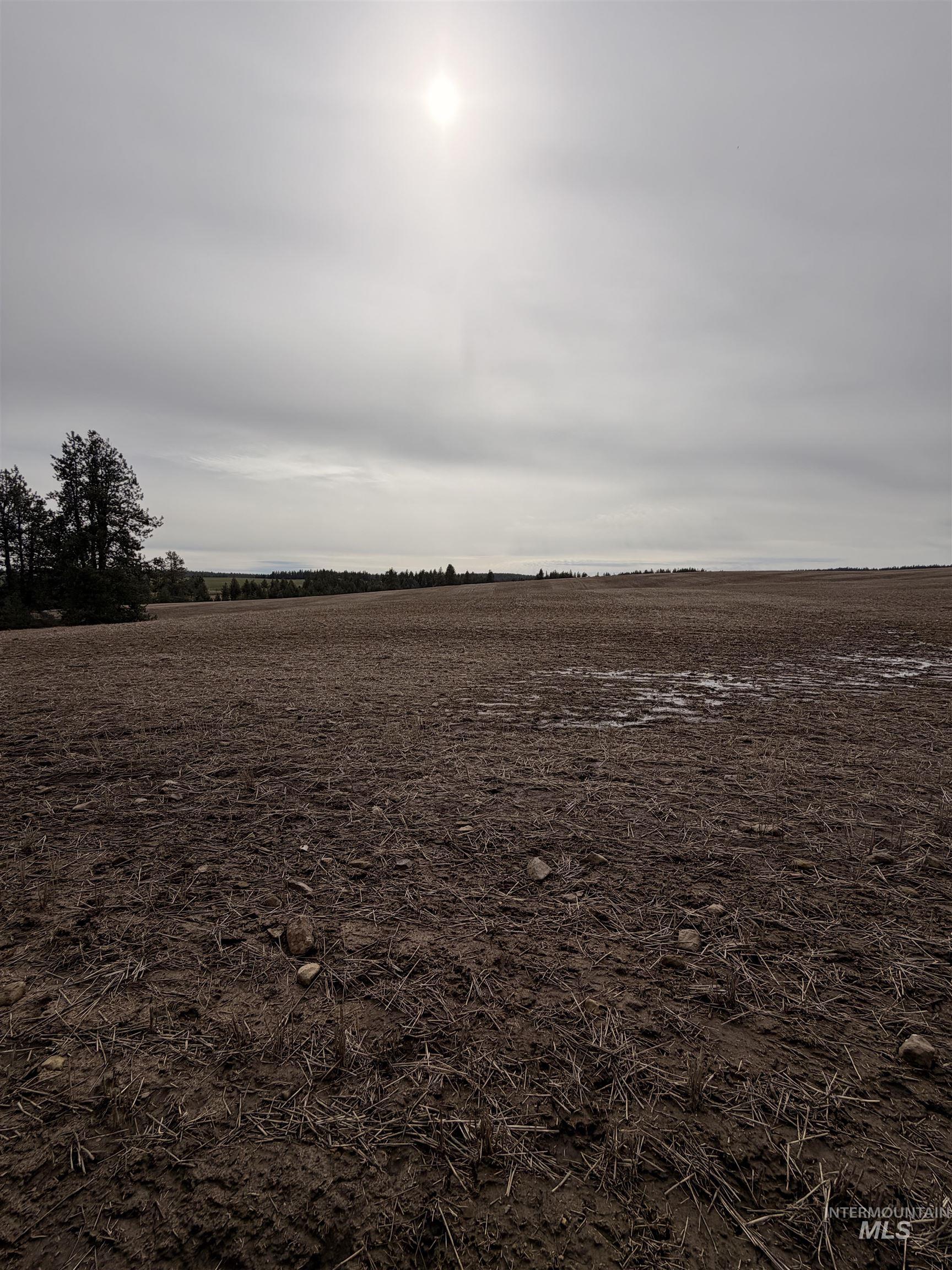 Tbd Sandhill Rd Property Photo 7