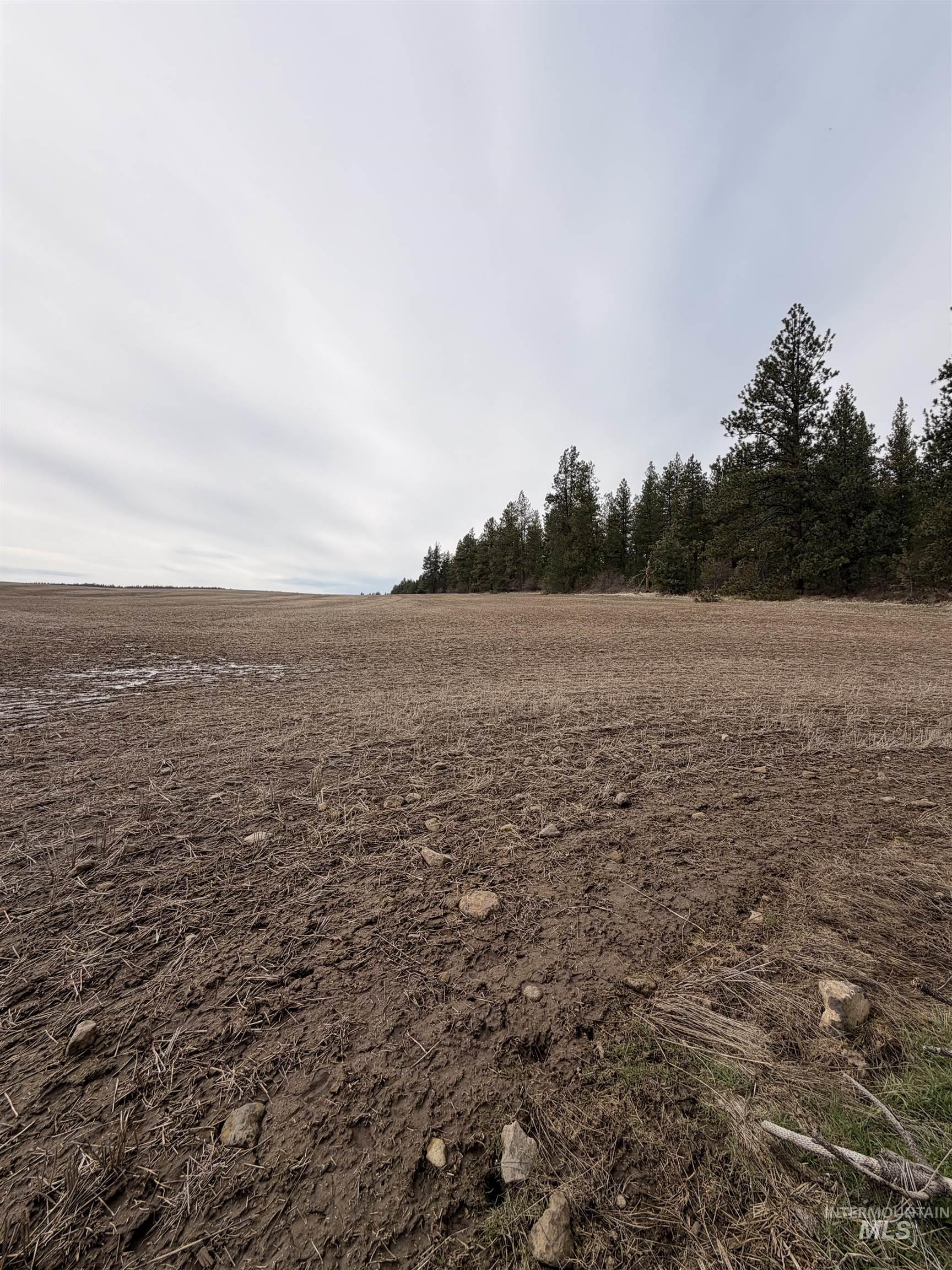 Tbd Sandhill Rd Property Photo 8