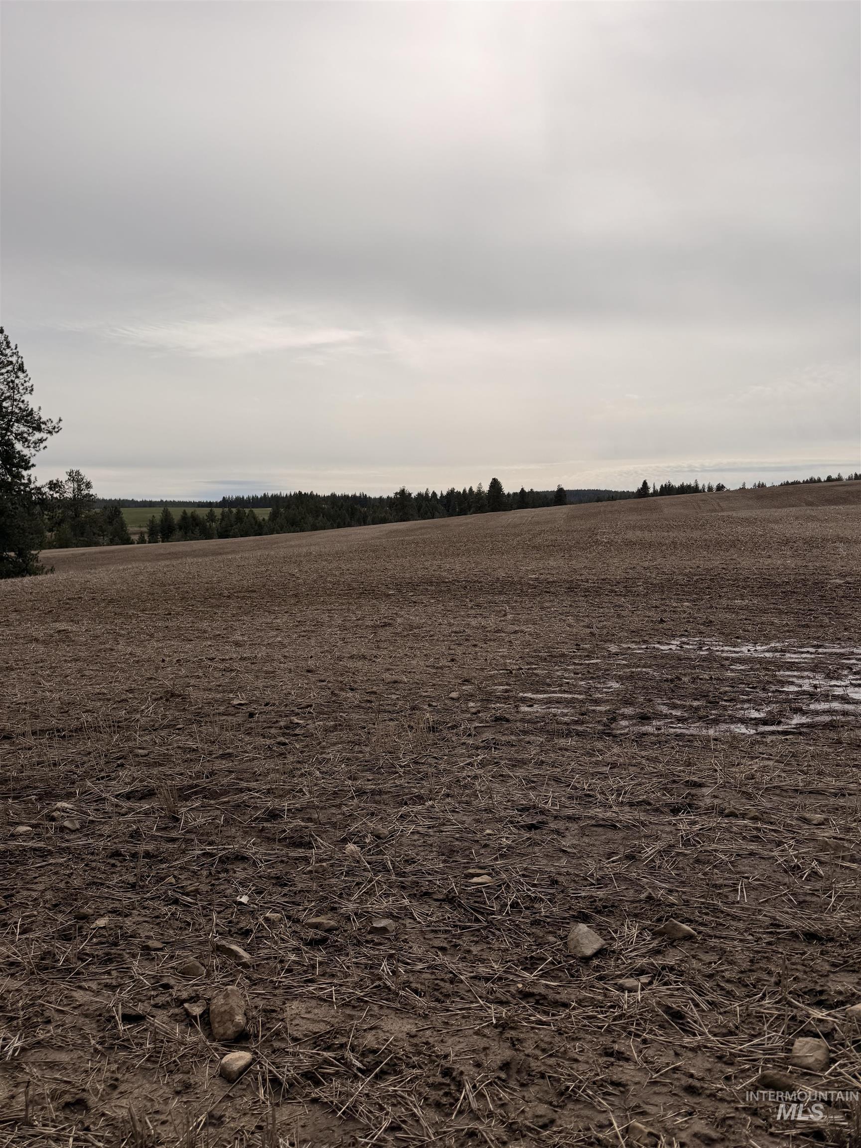 Tbd Sandhill Rd Property Photo 9