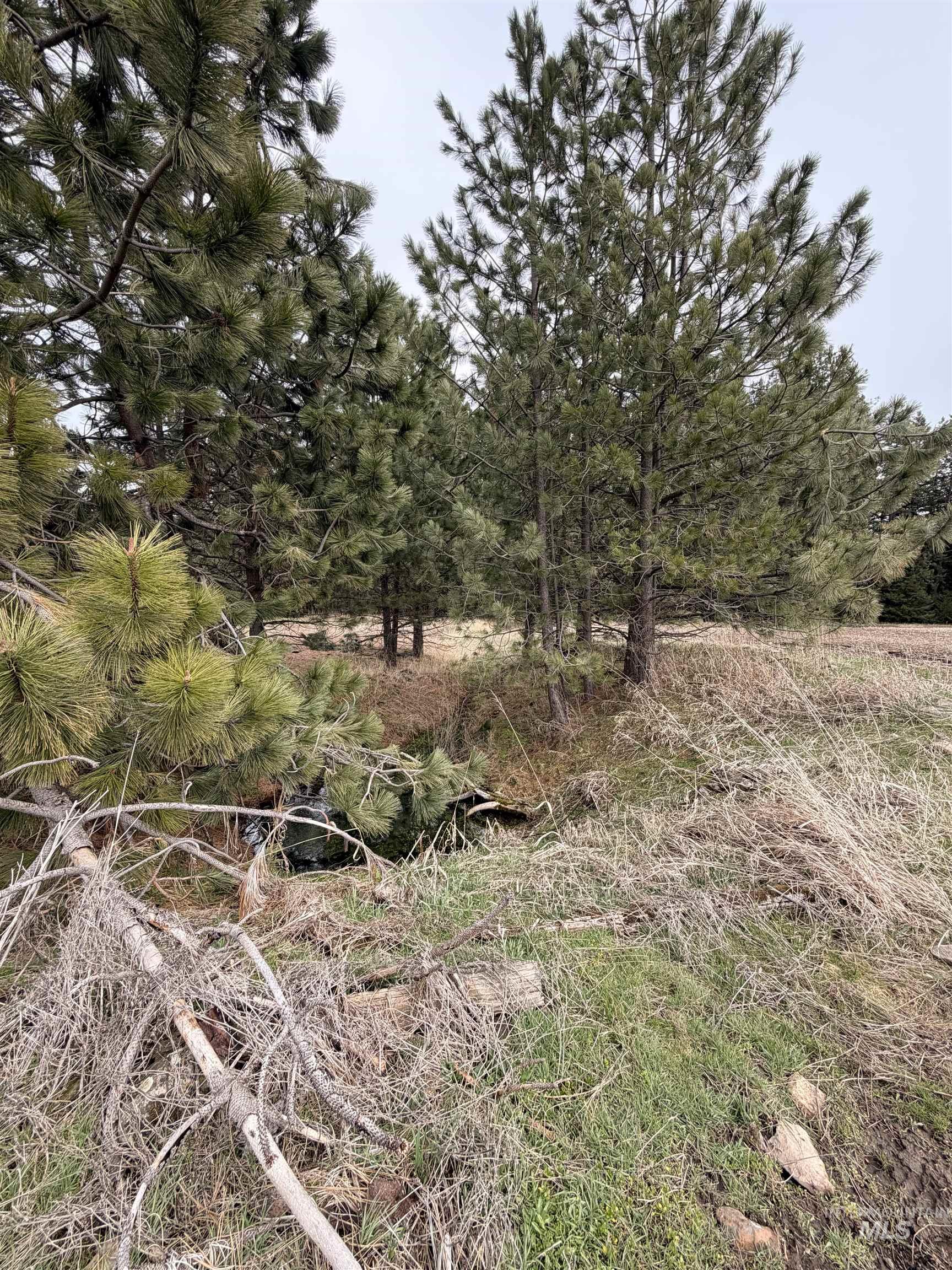 Tbd Sandhill Rd Property Photo 11