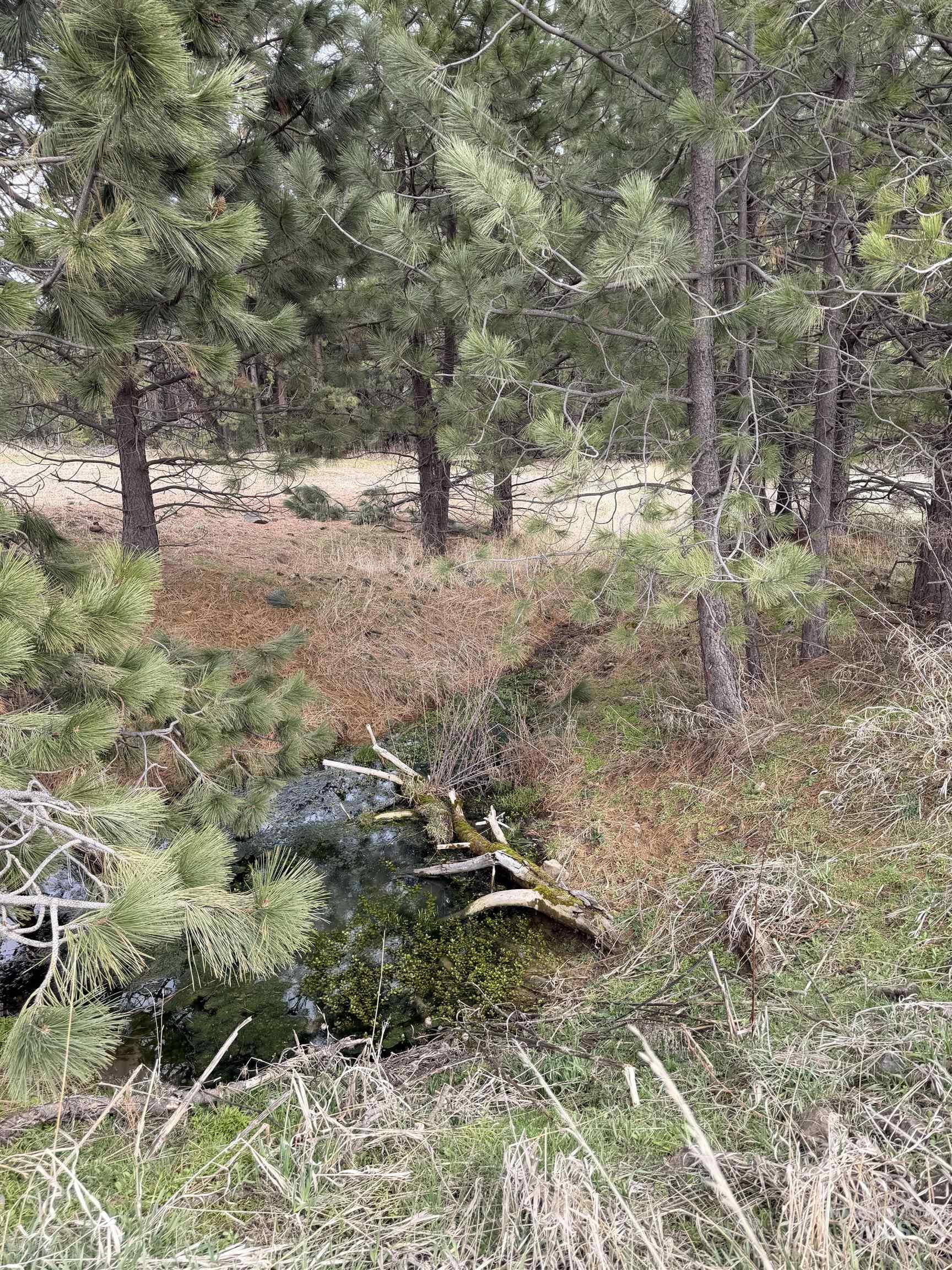 Tbd Sandhill Rd Property Photo 13