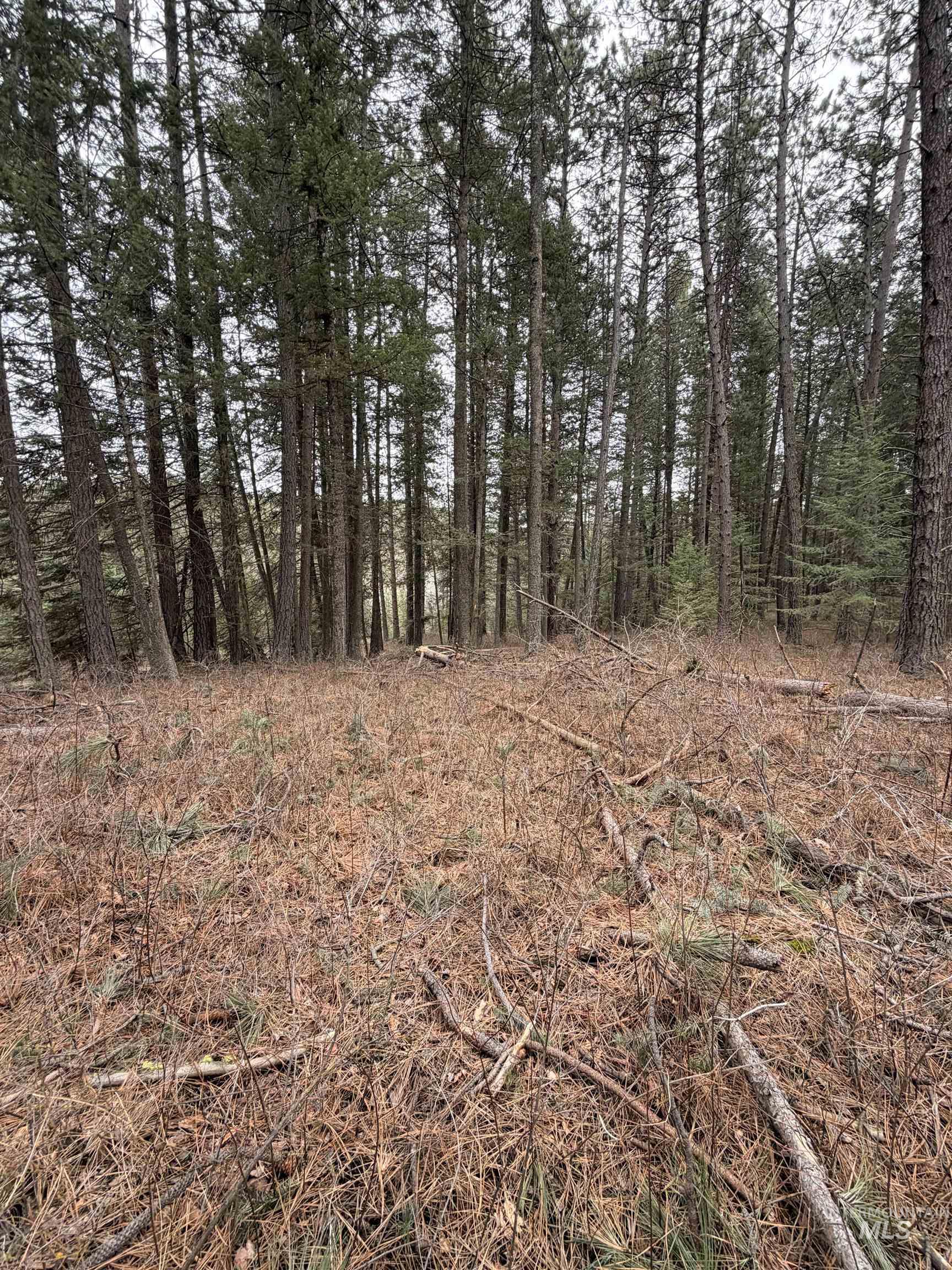 Tbd Sandhill Rd Property Photo 14