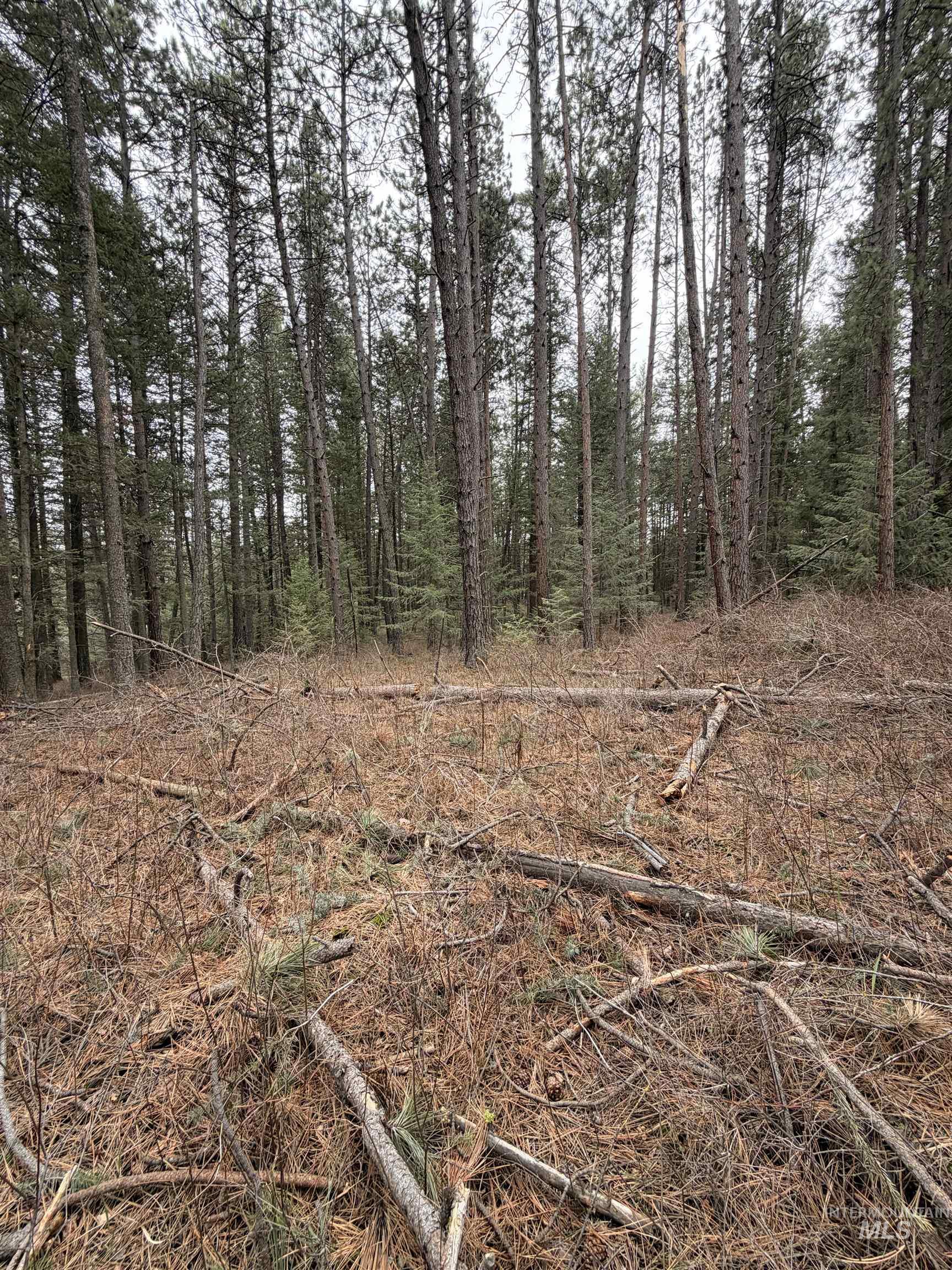 Tbd Sandhill Rd Property Photo 15