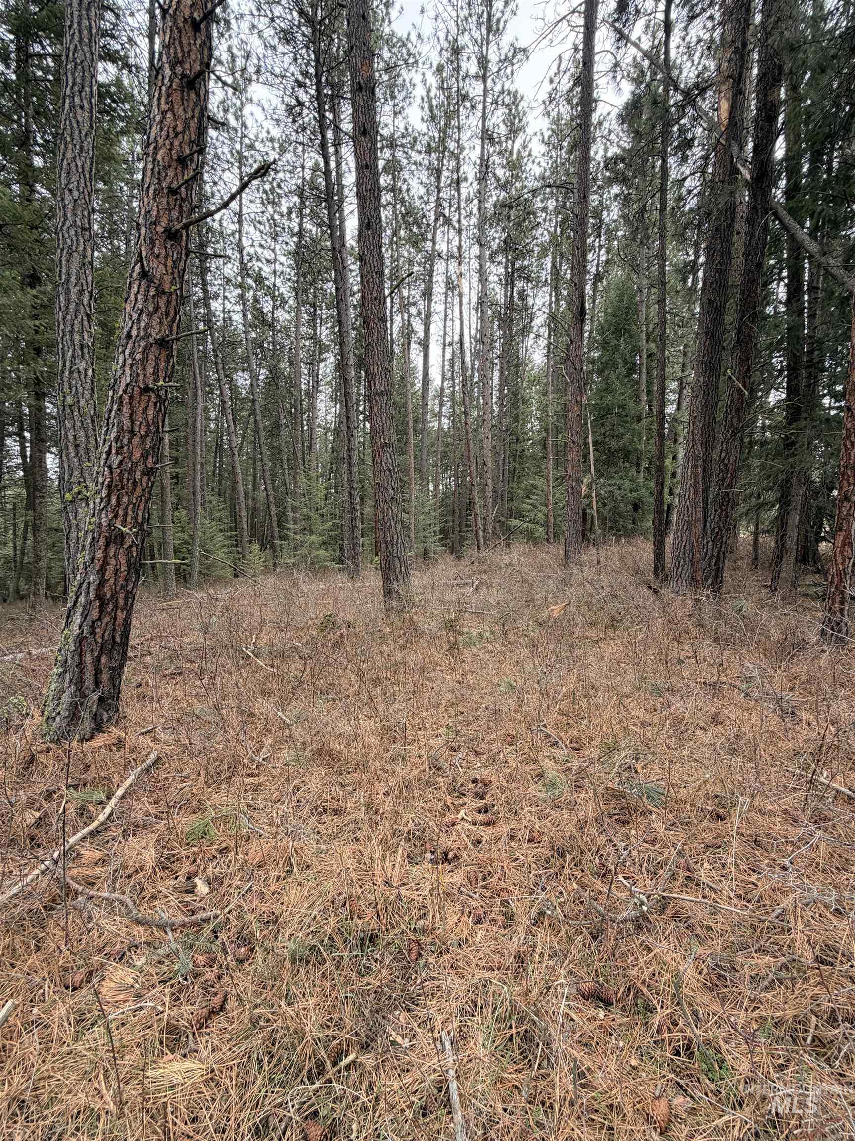 Tbd Sandhill Rd Property Photo 16